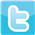 Ä°ng Forma Twitter icon